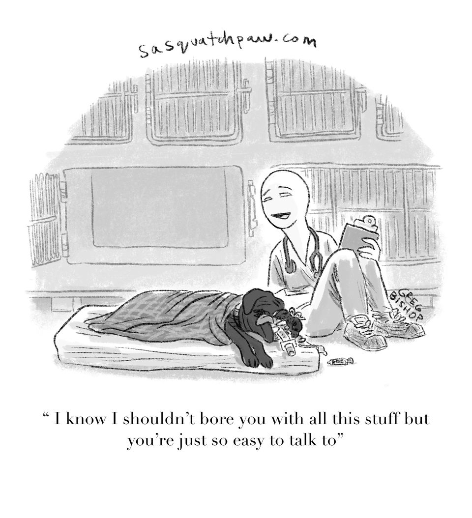 Ahhh, Those Dreamy Vet Techs...